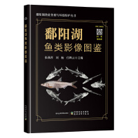 ۶�(y��ng)���~�Ӱ��D�b