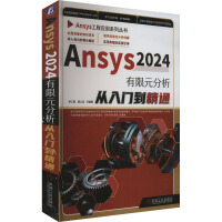 Ansys 2024����Ԫ���������T����ͨ