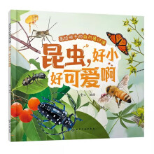 ���o���ӵ���Ȼͨ�R�n--���x����С�ÿɐ۰�