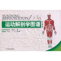 ���g(sh��)��Ӣ�о����Ă��y(t��ng)�l(xi��ng)�����κͮ�(d��ng)���h��������ҕ��