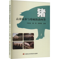 �i��Ч��B(y��ng)�c�߲����Ά���