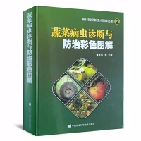 �Ϻ���:����ؔ��(j��ng)������W(xu��)����ϵ�W(xu��)����Ʒ�x��2020��