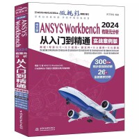���İ�ANSYS Workbench 2024����Ԫ���������T����ͨ