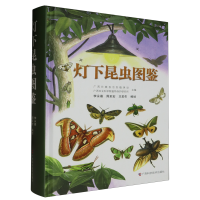 �������x�D�b