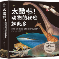  ̫��������(d��ng)���������˶ࣨȫ12��(c��)��