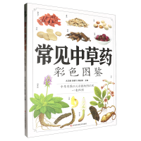 ��Ҋ(ji��n)�в�ˎ��ɫ�D�b