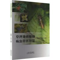  ��ƺ�ر�ֲ�ﲡ�x�ݺ��D�b