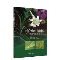 �ٺϲ��x���D�b�c�����փ�