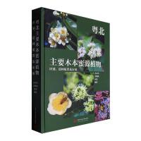 ������Ҫľ����Դֲ��