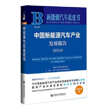  ����Դ��܇�{Ƥ��:�Ї�����Դ��܇�a(ch��n)�I(y��)�l(f��)չ��棨2024��