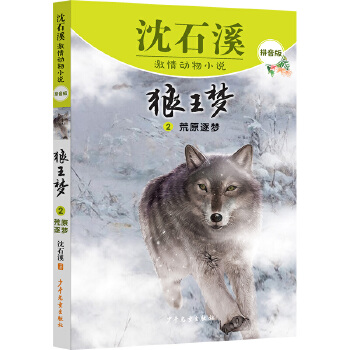  ��ʯϪ�������С�fƴ���� ������2 ��ԭ����