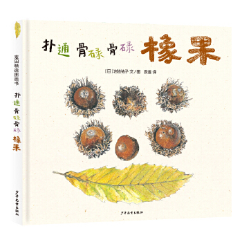  ���ﾫ�x�D���� ��ͨ ��µ��µ ���