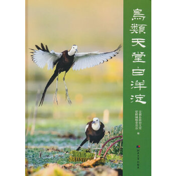  �B����ð����