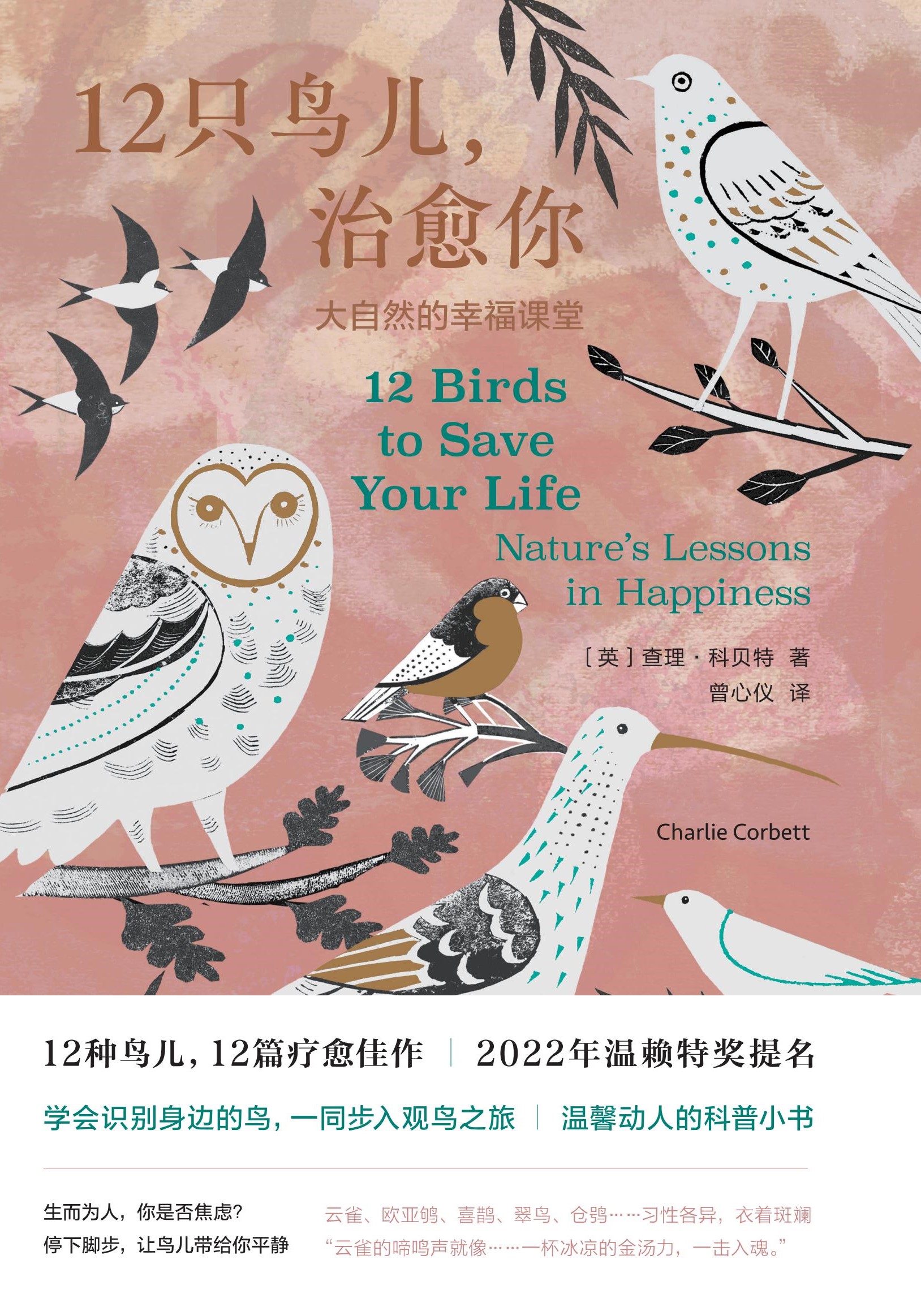 12ֻ�B����������