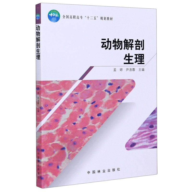 ����������������ߌ���ʮ���壩