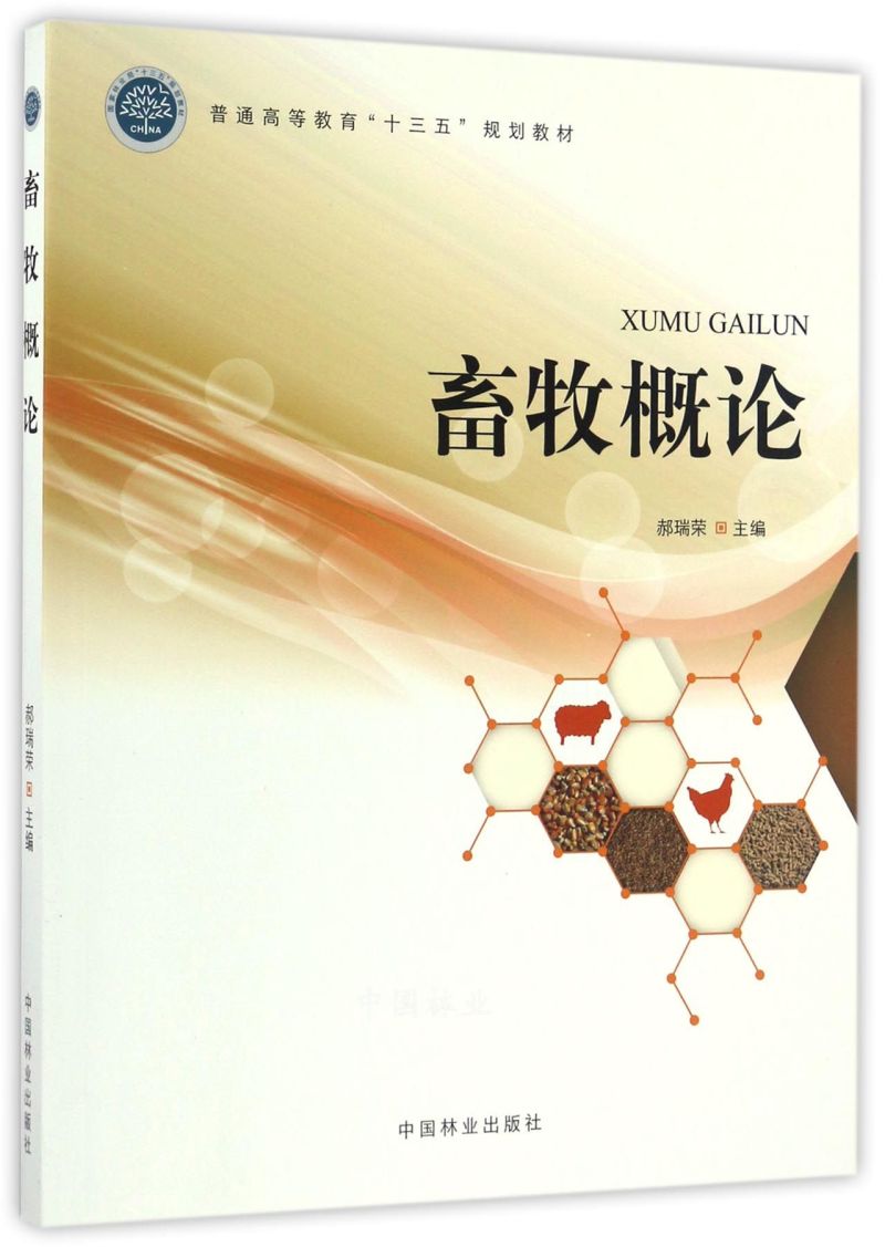 ������Փ(��ͨ�ߵȽ���ʮ����Ҏ(gu��)���̲�)