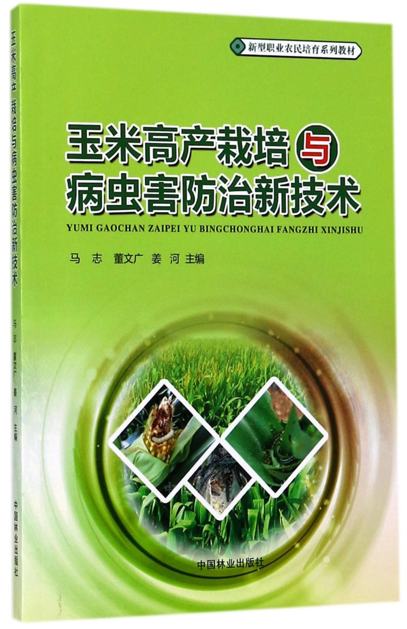  ���׸߮a(ch��n)�����c���x�������¼��g(sh��)(�����I(y��)�r(n��ng)������ϵ�н̲�)