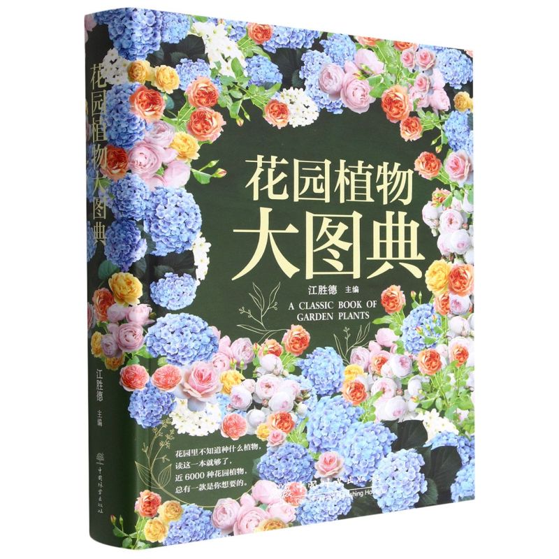 ���@ֲ���D��