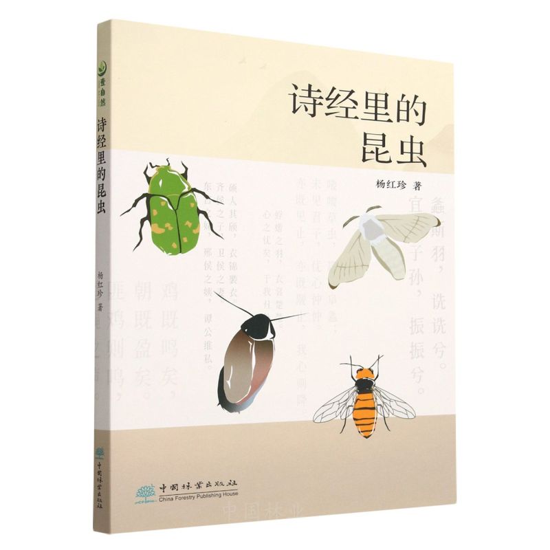 Ԋ(sh��)��(j��ng)������x(ch��ng)