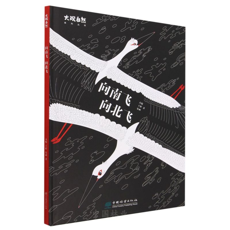 �����w�����w