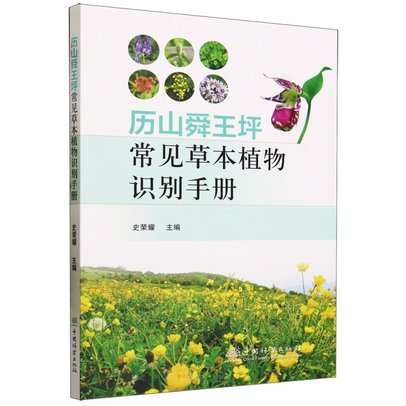 �vɽ˴��ƺ��Ҋ�ݱ�ֲ���R�e�փ�