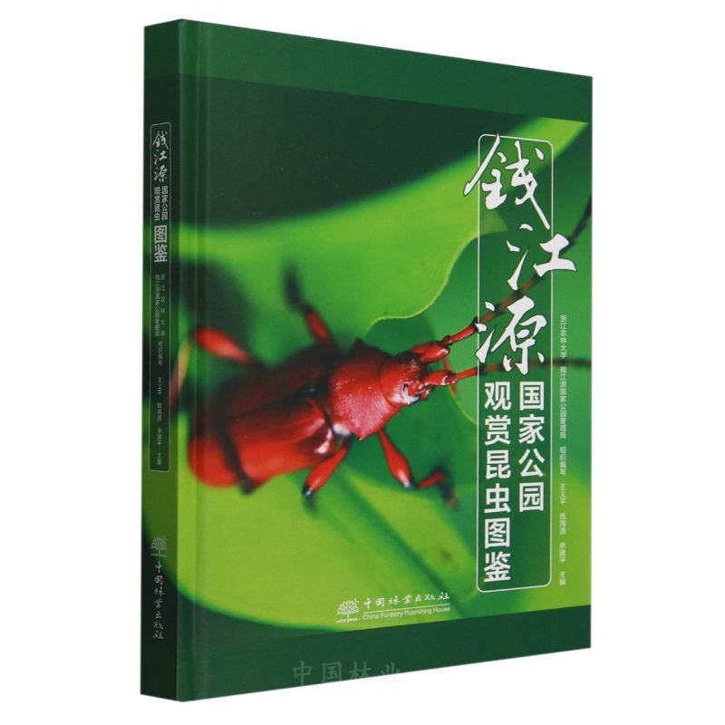 �X��Դ���ҹ��@�^�p���x�D�b(��)