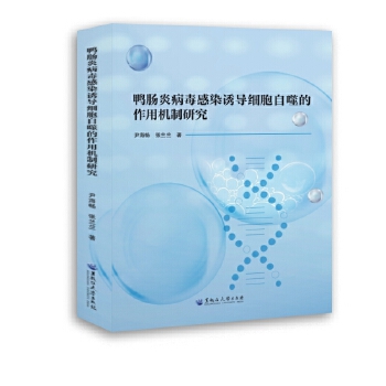  ���c�ײ�����Ⱦ�T���������ɵ����ÙC���о�