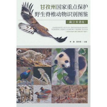  �����݇������c(di��n)���o(h��)Ұ����׵�����R�e�D�b