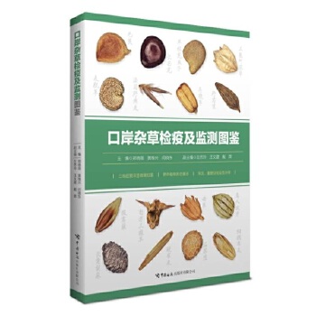  �ڰ��s�ݙz�߼��O(ji��n)�y�D�b