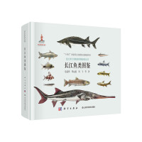 �L���~D�b