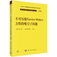 ���ɉ��s Navier-Stokes ���̵������ӆ��}