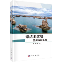 ���_ľ����}ɲ�ϵ�y(t��ng)