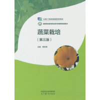 �߲�����(������)