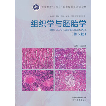  �M���W�c��̥�W