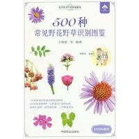 500�N��Ҋ(ji��n)Ұ��Ұ���R(sh��)�e�D�b