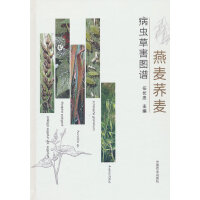 ����?zh��n)w�����x�ݺ��D�V