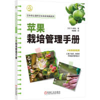 �O����������փ�(c��)