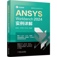 ANSYS Workbench 2024��(sh��)��Ԕ��