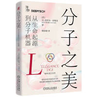 ����֮��