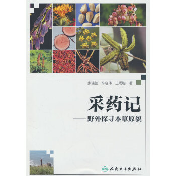  ��ˎӛ����Ұ��̽������ԭò