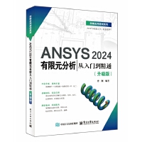 ANSYS 2024����Ԫ���������T����ͨ�������棩