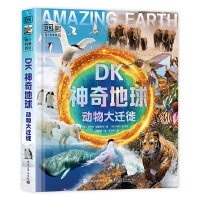 DK������� ������w��