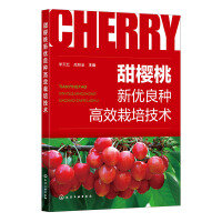 �������(y��u)���N��Ч���༼�g(sh��)