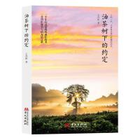  �Ͳ���µļs��