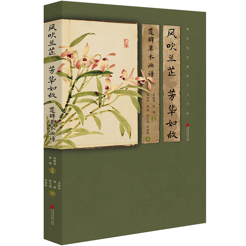 �L���m�� ���A��ʣ����o��ľ���V