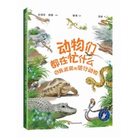  �������æʲô���������b�����Є���