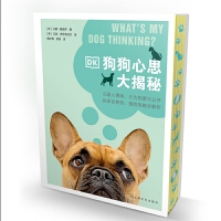 DK������˼�����