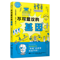 ����˼�h�Ļ���