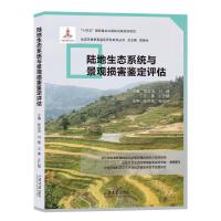 ꑵ����B(t��i)ϵ�y(t��ng)�c���^�p���b���u(p��ng)��