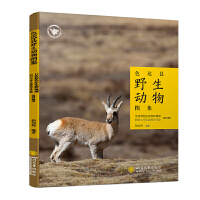 ɫ�_�hҰ������D��